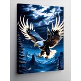 Tablomega Kanvas Tablo Uçan Kartal