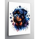 Tablomega Kanvas Tablo Yıldız Ve Köpek