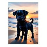 Tablomega Siyah Yavru Köpek Modern Ahşap Tablo 25cmx 35cm