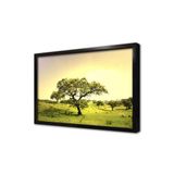 Tablosan Ağaç Ve Yeşil Doğa Çerçeveli Mdf Tablo 40 X 60 Cm Ma20112