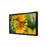 Tablosan Ayçiçeği Ve Kelebek Çerçeveli Cam Tablo 20X30 Cm Ca03353