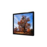 Tablosan Çiçek Açmış Ağaç Çerçeveli Mdf Tablo 60 X 80 Cm Ma20625
