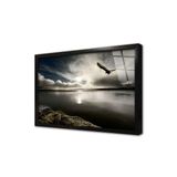 Tablosan Gece Vakti Gökyüzünde Kartal Çerçeveli Cam Tablo 30X40 Cm Ca20288