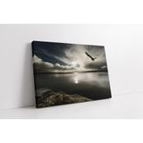 Tablosan Gece Vakti Gökyüzünde Kartal Kanvas Tablo 20 X 30 Cm Ka20288