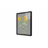 Tablosan Gri Zemin Sarı Çiçek Çerçeveli Cam Tablo 50X70 Cm Cb33113