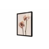 Tablosan İkili Çiçek Çerçeveli Cam Tablo 50X70 Cm Cb33085