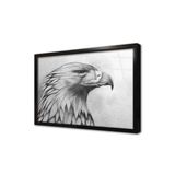 Tablosan Karakalem Kartal Çerçeveli Cam Tablo 50X70 Cm Cb15109
