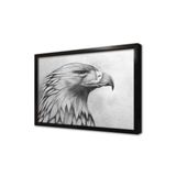 Tablosan Karakalem Kartal Çerçeveli Mdf Tablo 50 X 70 Cm Mb15109