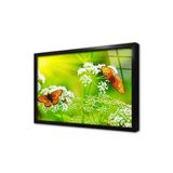 Tablosan Kelebek Çerçeveli Cam Tablo 30X40 Cm Ca32120