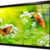 Tablosan Kelebek Çerçeveli Cam Tablo 60x90 cm