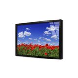 Tablosan Kırmızı Gelincik Çerçeveli Cam Tablo 30X40 Cm Ca20321