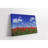 Tablosan Kırmızı Gelincik Kanvas Tablo 30 X 40 Cm Ka20321