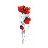 Tablosan Kırmızı Gelincikler Kanvas Tablo 100x300 cm Kb03178 100x300 cm
