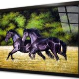 Tablosan Koşan Ikili Siyah At Çerçeveli Cam Tablo 20x30 cm