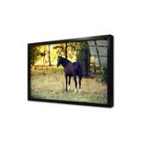 Tablosan Kurt Çerçeveli Cam Tablo 60X90 Cm Ca32172