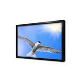 Tablosan Kuş Resimleri Çerçeveli Mdf Tablo 50 X 70 Cm Ma32121