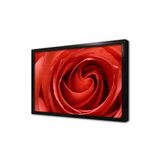 Tablosan Makro Çekim Kırmızı Gül Çerçeveli Mdf Tablo 30 X 40 Cm Ma03206