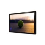 Tablosan Makro Tenis Topu Çerçeveli Cam Tablo 30X40 Cm Ca07168