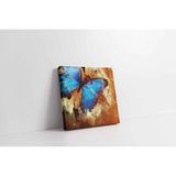 Tablosan Mavi Kanatlı Kelebek Kanvas Tablo 70 X 70 Cm Kb15098