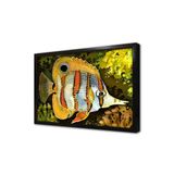 Tablosan Melek Balığı Çerçeveli Mdf Tablo 30 X 40 Cm Mb15122