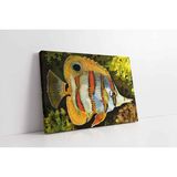 Tablosan Melek Balığı Kanvas Tablo 20 X 30 Cm Kb15122