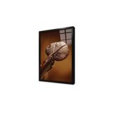Tablosan Obje Çerçeveli Cam Tablo 50X70 Cm Ca23118