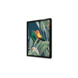 Tablosan Renkli Papağanlar Ve Botanik Bitkiler İkili Çerçeveli Mdf Tablo Seti 20 X 30 Cm Mb33399