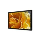 Tablosan Sarı Gül Yakın Çekim Çerçeveli Cam Tablo 30X40 Cm Ca03240