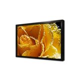 Tablosan Sarı Gül Yakın Çekim Çerçeveli Mdf Tablo 35 X 50 Cm Ma03240