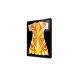 Tablosan Sarı Kaftan Çerçeveli Cam Tablo 60X90 Cm Cb30004