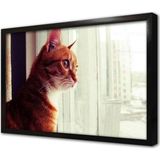 Tablosan Sarı Kedi Çerçeveli Cam Tablo 30x40 cm