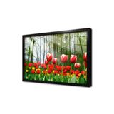 Tablosan Sarı Kırmızı Laleler Çerçeveli Cam Tablo 30X40 Cm Ca03357