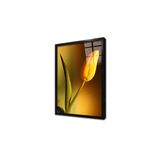 Tablosan Sarı Lale Çerçeveli Cam Tablo 30X40 Cm Ca03411