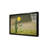 Tablosan Sarı Renkli Nergis Çerçeveli Cam Tablo 30X40 Cm Ca03020