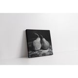 Tablosan Siyah Beyaz Armut Kanvas Tablo 20 X 20 Cm Ka03628