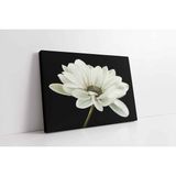 Tablosan Siyah Beyaz Çiçek Kanvas Tablo 20 X 30 Cm Kb03019
