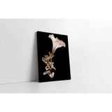 Tablosan Siyah Beyaz Çiçek Kanvas Tablo 30 X 40 Cm Kb03016