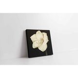 Tablosan Siyah Beyaz Çiçek Kanvas Tablo 50 X 50 Cm Kb03023