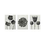 Tablosan Siyah Beyaz Çiçekler Üçlü Kanvas Tablo Seti 20 X 30 Cm Kb33139