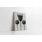 Tablosan Siyah Beyaz Üçlü Çiçek Kanvas Tablo 20 X 30 Cm Kb33093