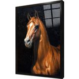 Tablosan Siyah Fonda Kahverengi Yeleli At Çerçeveli Cam Tablo 20x30 cm