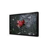 Tablosan Siyah Fonda Kırmızı Yaprak Çerçeveli Mdf Tablo 35 X 50 Cm Ma03214