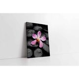 Tablosan Spa Taşları Ve Orkide Kanvas Tablo 100 X 150 Cm Ka23159