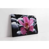Tablosan Spa Taşları Ve Orkide Kanvas Tablo 100 X 150 Cm Ka23179