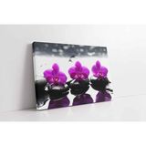 Tablosan Spa Taşları Ve Orkide Kanvas Tablo 120 X 180 Cm Ka23178