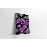 Tablosan Spa Taşları Ve Orkide Kanvas Tablo 120 X 180 Cm Ka23199