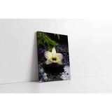 Tablosan Spa Taşları Ve Orkide Kanvas Tablo 140 X 210 Cm Ka23189