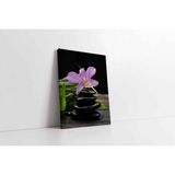 Tablosan Spa Taşları Ve Orkide Kanvas Tablo 140 X 210 Cm Ka23218