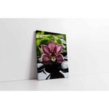 Tablosan Spa Taşları Ve Orkide Kanvas Tablo 80 X 120 Cm Ka23191