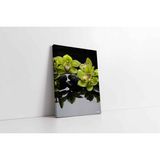 Tablosan Spa Taşları Ve Orkide Kanvas Tablo 90 X 130 Cm Ka23177